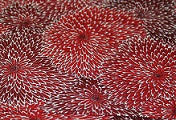 M041-D590591