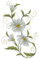 Mini - Daisies 2