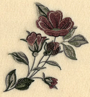 Designer Roses 2