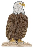 Mini - Eagles