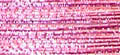 JH Metallic Thread - #G37 Rose 800 mtr