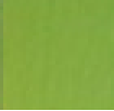 Mylar Solid Colours - Lime Green