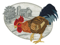 Rooster Scenes