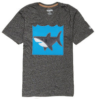Dinosaurs, Sharks & Stuff (P)
