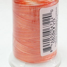 V13 - Orange Stripe Variegated Thread - 1000 mtr spool