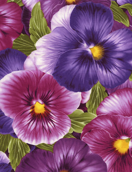 TT4457 Large packed Pansies (per metre)